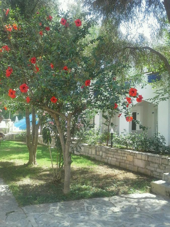 Tenda Hotel Bodrum Eksteriør billede